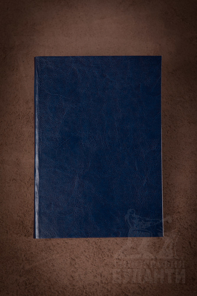 Ежедневник А5 в мягком переплете синий. Ежедневник А5 в мягком переплете синий.